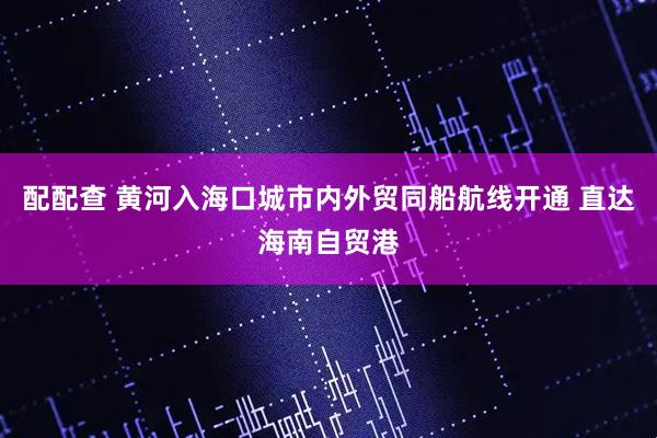 配配查 黄河入海口城市内外贸同船航线开通 直达海南自贸港