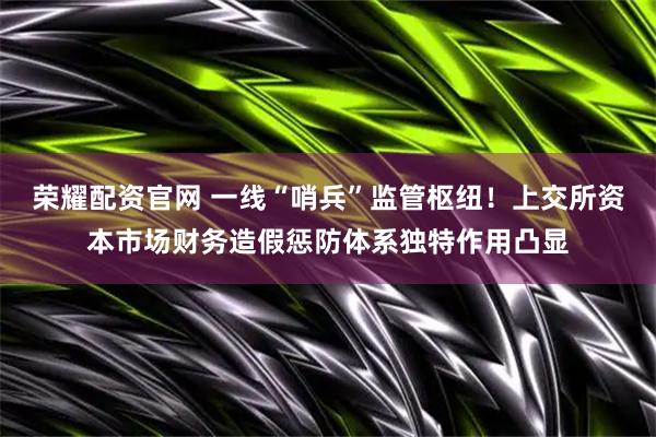 荣耀配资官网 一线“哨兵”监管枢纽！上交所资本市场财务造假惩防体系独特作用凸显