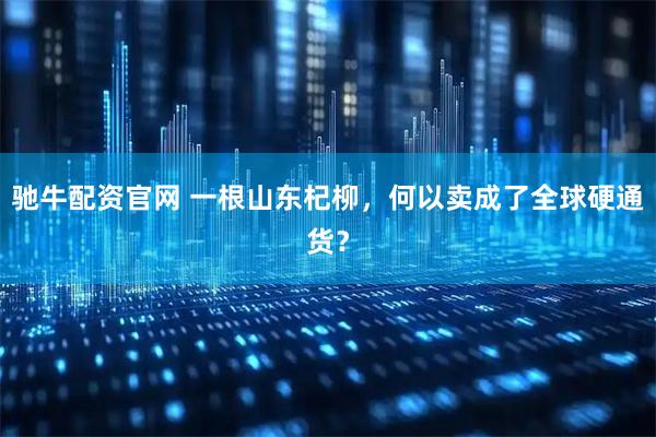 驰牛配资官网 一根山东杞柳，何以卖成了全球硬通货？